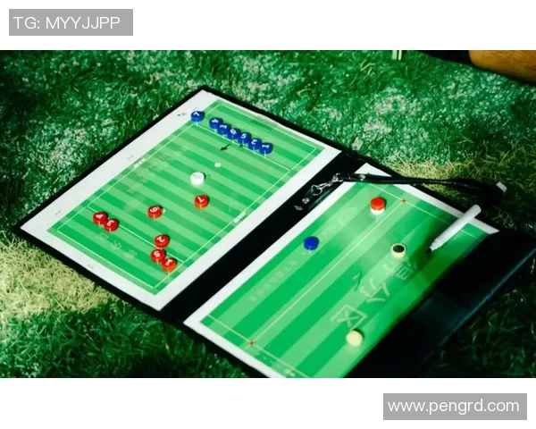 北京飞盘队个人能力分析与提升策略探讨